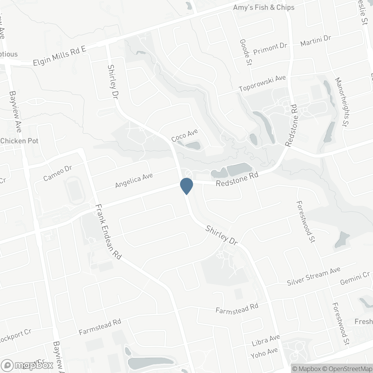 247 SHIRLEY DRIVE, Richmond Hill, Ontario L4S 1T9